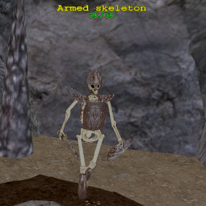 Armed Skeleton