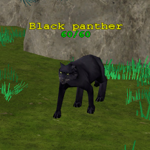 Black Panther