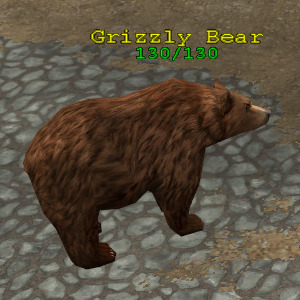 Grizzly Bear