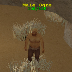 Male Ogre