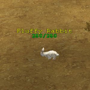 Fluffy Rabbit