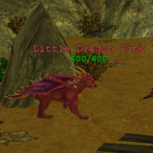 Little Dragon Pink