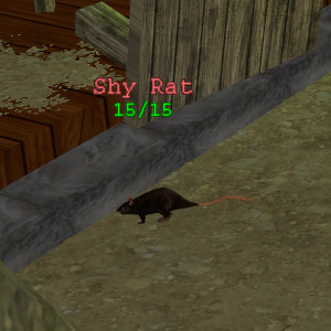 Shy Rat