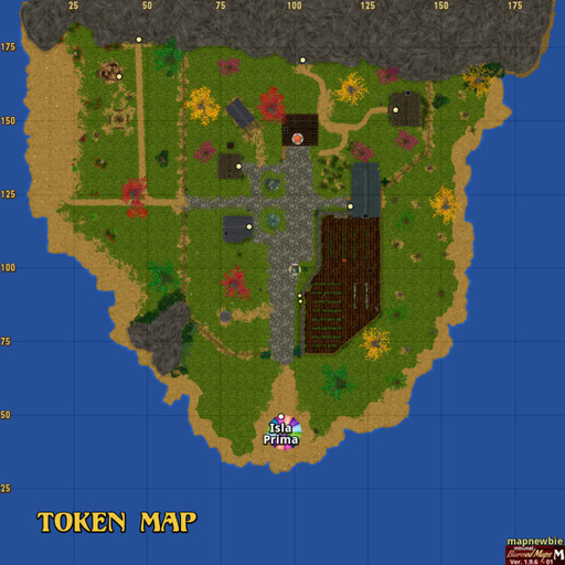 Token Map