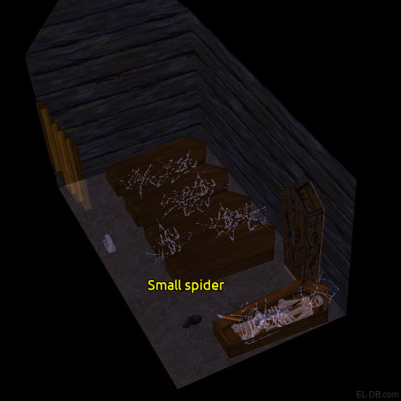 Small Spider Room